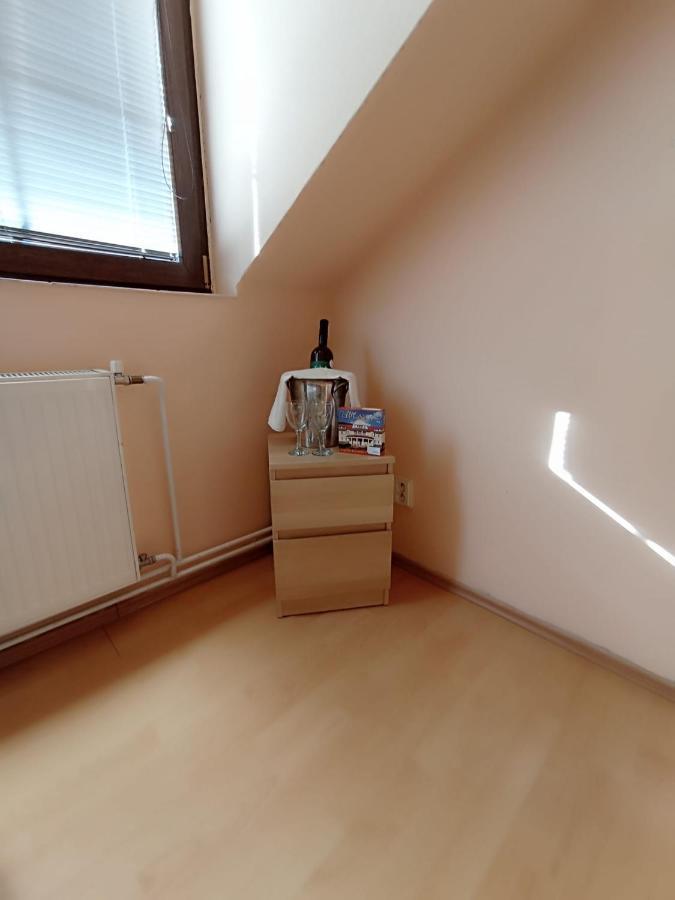 Penzion Jachymov Pod Lanovkou Bagian luar foto